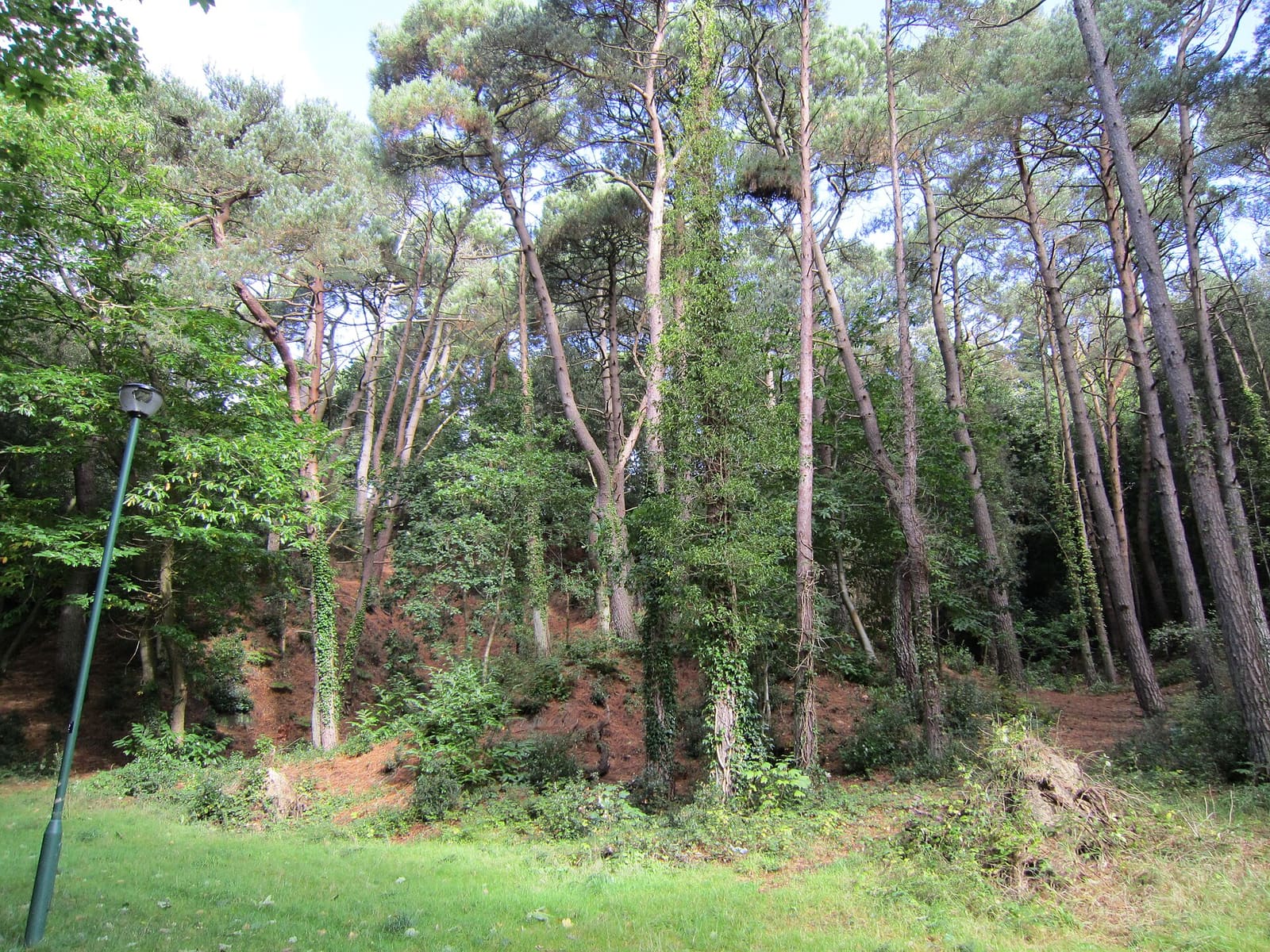Westbourne, Bournemouth