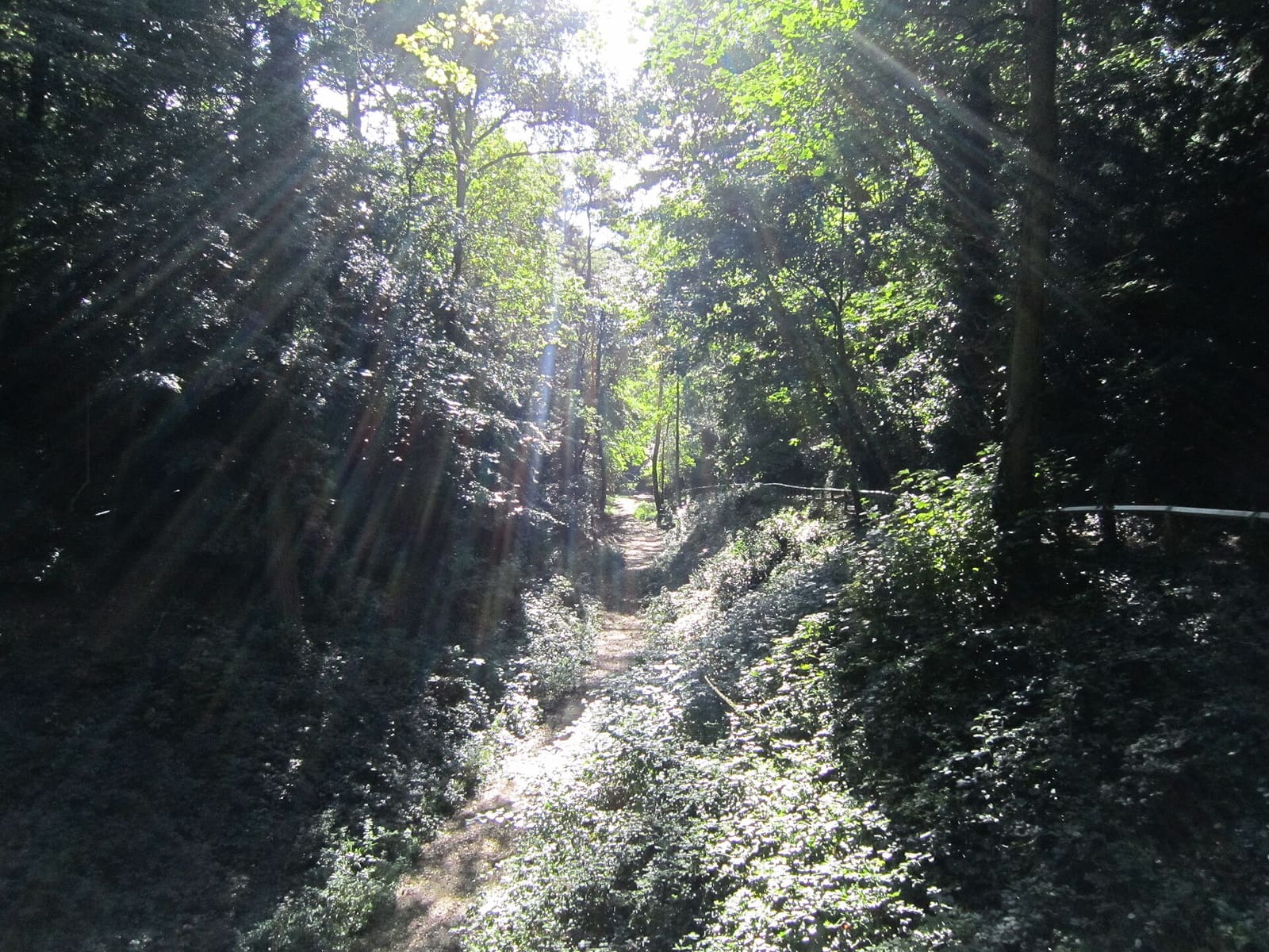 Westbourne, Bournemouth