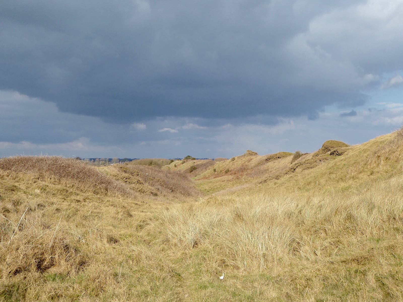 Christchurch, Dorset