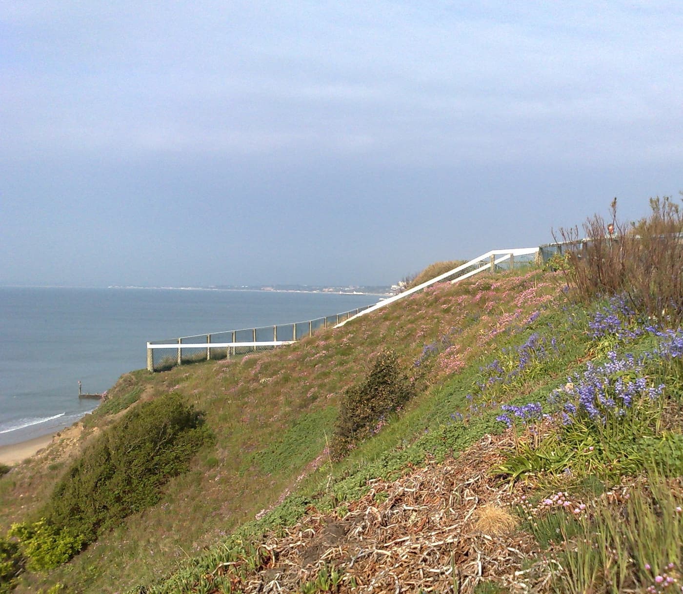 Beach huts along Southbourne beach
